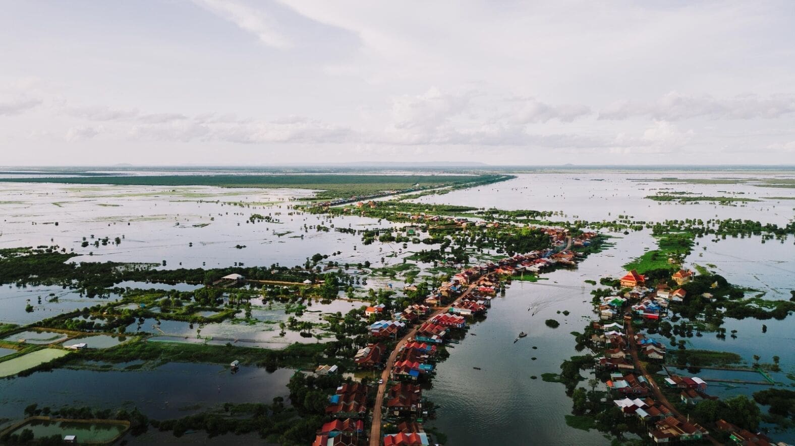 Flood Technology Group, helping future-proof the nation’s homes against flood risk